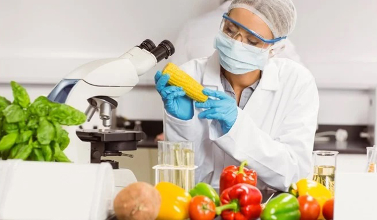 BSc Food Science & Nutrition